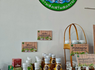 งาน “สีสรรพรรณไม้ เทิดไท้บรมราชินีนาถ” ประจำปี 2568 ... พารามิเตอร์รูปภาพ 38